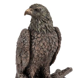 Статуэтка "Орел" (24 см) VERONESE, изображение 3 ᐒ купить на  ❤ Like7km.com.ua