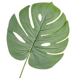Лист монстеры тростниково-зеленый искусственный, изображение 2 ᐒ купить на  ❤ Like7km.com.ua