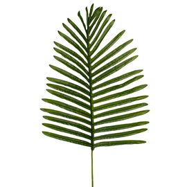 Лист "Пальма", изображение 2 ᐒ купить на  ❤ Like7km.com.ua