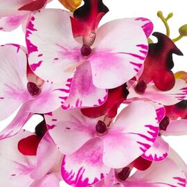 Орхидея 56 см. * Рандомный выбор дизайна, изображение 3 ᐒ купить на  ❤ Like7km.com.ua