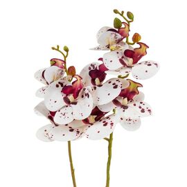 Орхидея 56 см. * Рандомный выбор дизайна, изображение 5 ᐒ купить на  ❤ Like7km.com.ua