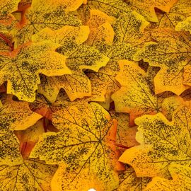 Искусственные кленовые листья "Золотая осень", жёлтые, 250 г, изображение 2 ᐒ купить на  ❤ Like7km.com.ua