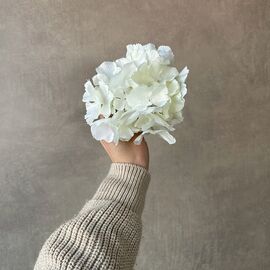 Головка гортензии, белая, 16 см, изображение 4 ᐒ купить на  ❤ Like7km.com.ua