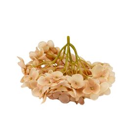 Головка гортензии мелкоцветная, бежевая, 14 см, изображение 3 ᐒ купить на  ❤ Like7km.com.ua