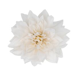 Головка георгина, кремовая, 15 см, изображение 2 ᐒ купить на  ❤ Like7km.com.ua