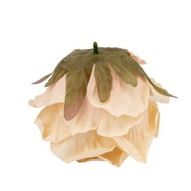 Головка розы, бежевая, 11 см, изображение 3 ᐒ купить на  ❤ Like7km.com.ua