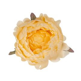 Головка пиона, бежевая, 10 см, изображение 2 ᐒ купить на  ❤ Like7km.com.ua