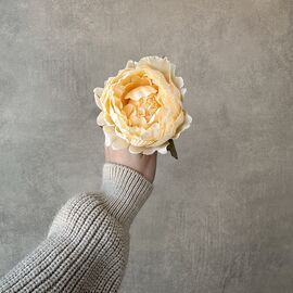 Головка пиона, бежевая, 10 см, изображение 4 ᐒ купить на  ❤ Like7km.com.ua