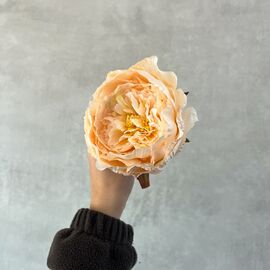 Головка пиона, кремовая, 11 см, изображение 5 ᐒ купить на  ❤ Like7km.com.ua