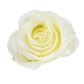 Головка розы, белая, 8см, изображение 3 ᐒ купить на  ❤ Like7km.com.ua