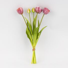 Букет тюльпанов, 5 бутонов, пудровый, 39 см, изображение 2 ᐒ купить на  ❤ Like7km.com.ua