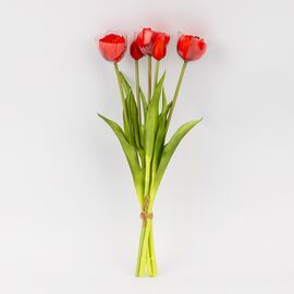 Букет тюльпанов, 5 бутонов, красный, 39 см, изображение 2 ᐒ купить на  ❤ Like7km.com.ua