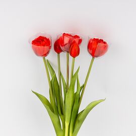 Букет тюльпанов, 5 бутонов, красный, 39 см, изображение 3 ᐒ купить на  ❤ Like7km.com.ua