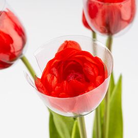 Букет тюльпанов, 5 бутонов, красный, 39 см, изображение 4 ᐒ купить на  ❤ Like7km.com.ua