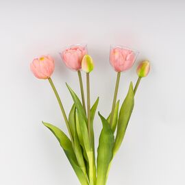 Букет тюльпанов, 5 бутонов, розовый, 39 см, изображение 3 ᐒ купить на  ❤ Like7km.com.ua