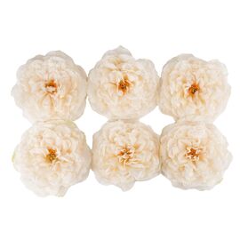 Головка пиона, кремовая, 17 см, изображение 2 ᐒ купить на  ❤ Like7km.com.ua