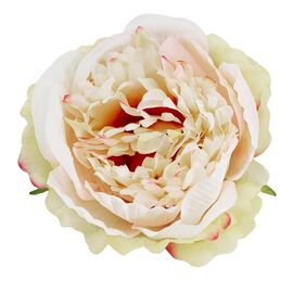 Головка пиона, розово-зеленая, 9 см, изображение 3 ᐒ купить на  ❤ Like7km.com.ua