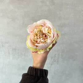 Головка пиона, розово-зеленая, 9 см, изображение 5 ᐒ купить на  ❤ Like7km.com.ua