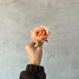 Головка розы, персиковая, 7 см, изображение 5 ᐒ купить на  ❤ Like7km.com.ua