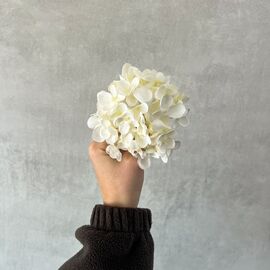 Головка гортензии, белая, 9 см, изображение 5 ᐒ купить на  ❤ Like7km.com.ua