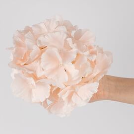 Головка гортензии, нежно-розовая, 20 см, изображение 4 ᐒ купить на  ❤ Like7km.com.ua