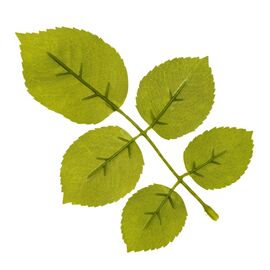 Искусственные листья розы, зелёные, 250 г, изображение 3 ᐒ купить на  ❤ Like7km.com.ua