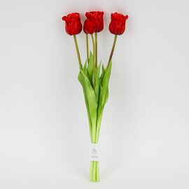 Букет латексных тюльпанов, 5 бутонов, красный, 49 см, изображение 4 ᐒ купить на  ❤ Like7km.com.ua