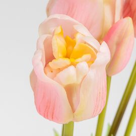 Букет латексных тюльпанов, 5 бутонов, нежно-розовый, 49 см, изображение 3 ᐒ купить на  ❤ Like7km.com.ua