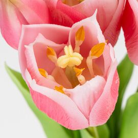 Букет латексных тюльпанов, 5 бутонов, розовый, 38 см, изображение 3 ᐒ купить на  ❤ Like7km.com.ua