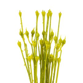 Флористическая основа "Стебель", 62 см, изображение 2 ᐒ купить на  ❤ Like7km.com.ua