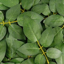 Искусственные листья розы, зелёные, 250 г, изображение 2 ᐒ купить на  ❤ Like7km.com.ua