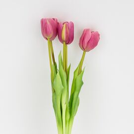 Букет латексных тюльпанов, 5 бутонов, розовый, 45 см, изображение 2 ᐒ купить на  ❤ Like7km.com.ua