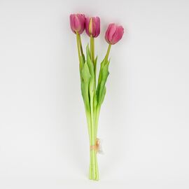 Букет латексных тюльпанов, 5 бутонов, розовый, 45 см, изображение 4 ᐒ купить на  ❤ Like7km.com.ua