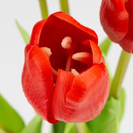 Букет латексных тюльпанов, 5 бутонов, красный, 45 см, изображение 3 ᐒ купить на  ❤ Like7km.com.ua