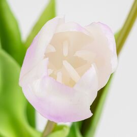 Букет латексных тюльпанов, 5 бутонов, бело-фиолетовый, 45 см, изображение 3 ᐒ купить на  ❤ Like7km.com.ua