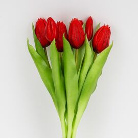 Букет латексных тюльпанов, 7 бутонов, красный, 31 см, изображение 2 ᐒ купить на  ❤ Like7km.com.ua