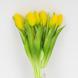 Букет латексных тюльпанов, 7 бутонов, желто-зеленый, 31 см, изображение 2 ᐒ купить на  ❤ Like7km.com.ua