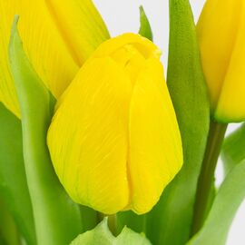 Букет латексных тюльпанов, 7 бутонов, желто-зеленый, 31 см, изображение 3 ᐒ купить на  ❤ Like7km.com.ua