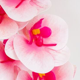 Искусственная орхидея, нежно-розовая, 57 см, изображение 4 ᐒ купить на  ❤ Like7km.com.ua