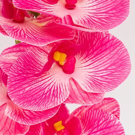 Искусственная орхидея, розовая, 57 см, изображение 4 ᐒ купить на  ❤ Like7km.com.ua