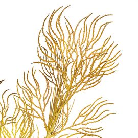 Ветка ивы волнистая желто-золотая искусственная, изображение 2 ᐒ купить на  ❤ Like7km.com.ua