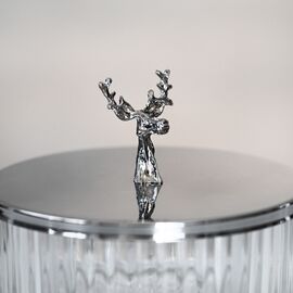 Емкость для хранения "Благородный олень", 9 см, изображение 3 ᐒ купить на  ❤ Like7km.com.ua