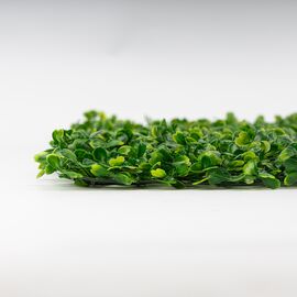 Искусственный фитомодуль "Самшит", 60*41 см СПАСЕННАЯ ПОЗИЦИЯ, изображение 4 ᐒ купить на  ❤ Like7km.com.ua