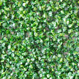 Искусственный фитомодуль "Самшит", 60*41 см СПАСЕННАЯ ПОЗИЦИЯ, изображение 5 ᐒ купить на  ❤ Like7km.com.ua