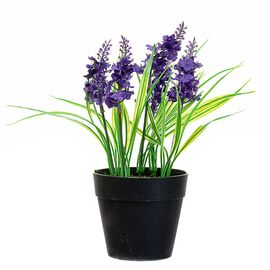 Горшочек "Лаванда"  фиалет ᐒ купить на  ❤ Like7km.com.ua