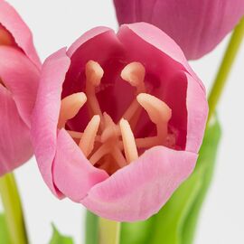 Букет латексных тюльпанов, 5 бутонов, розовый, 45 см, изображение 3 ᐒ купить на  ❤ Like7km.com.ua