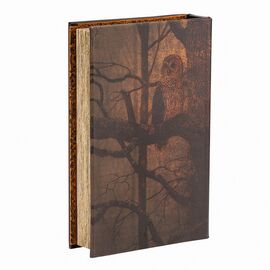 Книга-сейф "Сова", изображение 3 ᐒ купить на  ❤ Like7km.com.ua