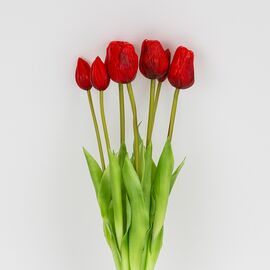 Букет латексных тюльпанов, 7 бутонов, красный, 48 см, изображение 2 ᐒ купить на  ❤ Like7km.com.ua