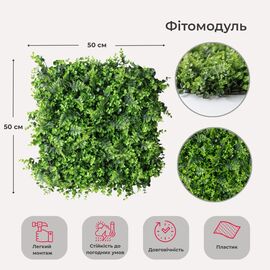Фитомодуль искусственный "Самшит и папоротник", 50*50 cм ᐒ купить на  ❤ Like7km.com.ua