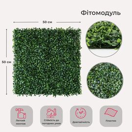 Фитомодуль искусственный "Самшит", 50*50 cм ᐒ купить на  ❤ Like7km.com.ua